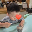 쉼터사슴농장 | 강릉동물원 추천 [대관령아기동물농장] 강릉 아이랑 갈만한곳, 강릉가족여행 코스로 딱!