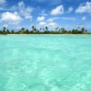 에덴동산 이미지