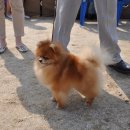 헬리우스 이미지