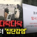 구로-구로-구로-148 이미지