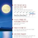 [Costa Serena] 코스타 &#39;세레나&#39;호로 떠난 2018 롯데관광 전세선 1항차 크루즈여행 후기 - (6) 해상일