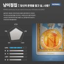 신촌방탈출 장치多 귀여운 힐링테마 냥이점집 후기 룸익스케이프 블랙점