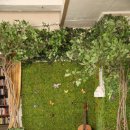 에덴사진관 이미지