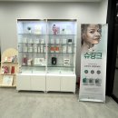 새솔한방병원 | 송산한방병원:D 양한방 모든진료 가능, 침 잘 놓는 한방병원 둘러보기!! 새솔동한의원