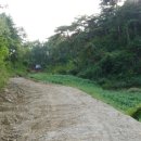 용항리경로당 이미지