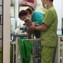 펫엘도라도 이미지