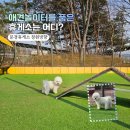 펫코스(Pet-cose) | [문경휴게소 창원방향] 경주 애견동반 여행 필수 코스! 🐶 무료 펫파크와 맛집 총정리 ✨