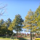 생활명리 이미지