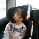 초아목장 이미지