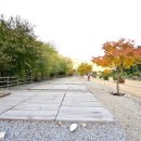 가평물골숲계곡캠핑장 이미지