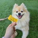 지킴메디 이미지