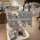 테디베어스 | 플로로도라 팝업 방문기 with 테디베어스크런치키링 판교 현백점