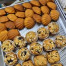 새희연지 이미지