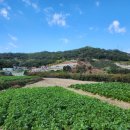 소민농장 이미지