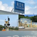 할리스(동해묵호점) | 묵호 여행 이모저모 3탄