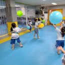 호계 효태권도장 이미지