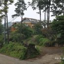 삼나무집펜션 이미지