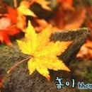 애월파크힐빌리지 이미지