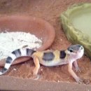 (주)가드림 이미지