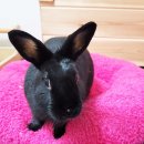 두원실업(주) 이미지