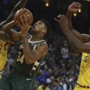 골든 커리 이미지