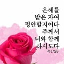햇살처럼