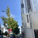 현대서부서비스㈜ | 현대블루핸즈 광안서부점 후방카메라고장 블루핸즈케어 엔진오일점검 에어컨필터교체 등