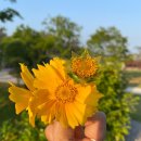 (주)푸른솔농원 이미지