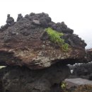 신양목장 이미지