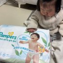 ㈜파워라인 | 팸퍼스 2026 터치 오브 네이처 썸머팬티 9개월 아기 솔직 추천 후기
