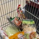 다소니에민박 이미지