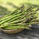 아스파라거스(Asparagus) 이미지