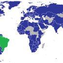 셈바이오(주) 이미지