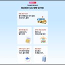 동방 | 중국동방항공 후기 비즈니스 이코노미 칭다오 왕복 특가 꿀팁