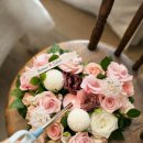 준플라워 이미지