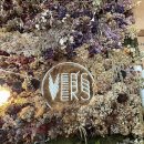 NR-34[상무로]-하-44 | 6/7 - 6/13 일상 기록