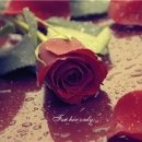 이미지 카카오 검색결과