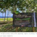 한의사선생님이 들려주는 「건강한 여름나기」 | 자작나무 숲이 들려주는 힐링 스토리, 그리고 다산의 남양주