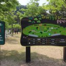 풍산단호로(풍산읍) 이미지