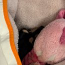 Mong9Mong9Haus 이미지