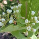 수원-1859 이미지