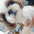 서진동물병원 이미지