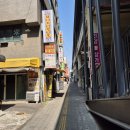 호텔 PJ | 을지로 PJ호텔 웨딩홀 상담 후기｜헤스티아홀 vs 뮤즈홀 비교하고 온 솔직 후기