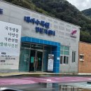 광주광역시 시립수목원 B동 | 가을 수목원 나들이 / 전북완주 대아수목원, 전북진안 고원화목원, 광주시립수목원 (ft.수목원스탬프위치)