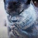 밀밭칼국수 이미지