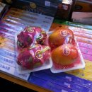 예그리나호스텔 이미지