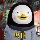 하늘숲캠핑장 이미지