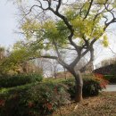 순천만국가정원(서문) 이미지