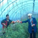 미양농장 이미지