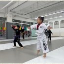 큰솔 태권도 이미지